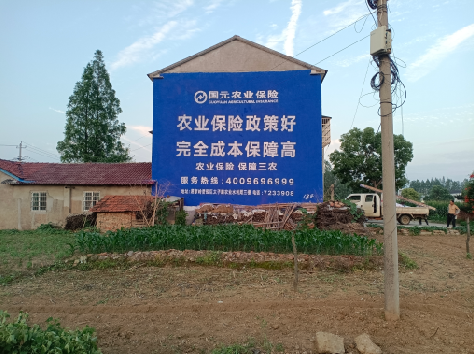 宁陕墙体广告的优劣势你知道吗？